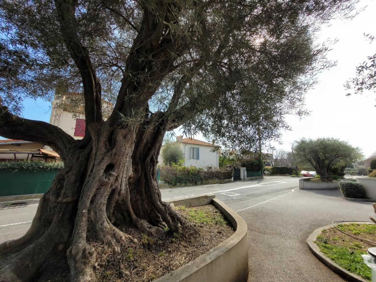 Villa La Desiree - Haut De Villa, 68M2, 8 Personnes Max, Climatise, 4 Etoiles, 120M2 De Jardin Et Parking, Wifi, Vu Mer Antibes Eksteriør billede